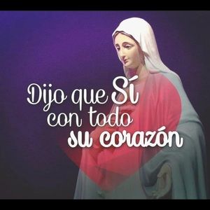 Meet your Posher, Bertha